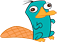 PerryPlatypus